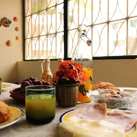 The Shell House * Manta Rota